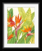 Watercolor Tropical Flowers IV Framed Print