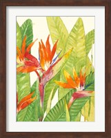 Watercolor Tropical Flowers IV Fine Art Print