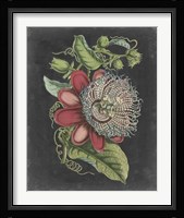 Dramatic Tropical Beauty I Fine Art Print