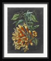 Dramatic Tropical Beauty II Fine Art Print
