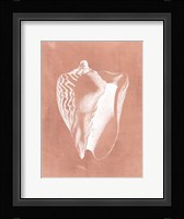 Sealife on Coral I Fine Art Print