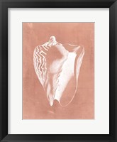 Sealife on Coral I Framed Print