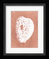 Sealife on Coral III Fine Art Print