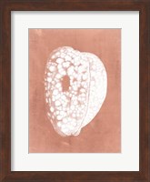 Sealife on Coral III Fine Art Print