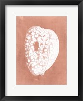 Sealife on Coral III Fine Art Print