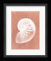 Sealife on Coral V Fine Art Print