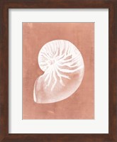 Sealife on Coral V Fine Art Print