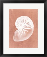 Sealife on Coral V Fine Art Print