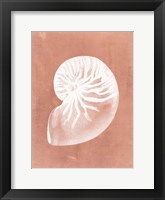 Sealife on Coral V Framed Print