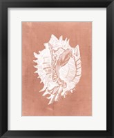 Sealife on Coral VI Framed Print