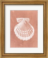 Sealife on Coral VII Fine Art Print