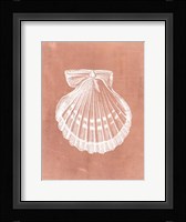 Sealife on Coral VII Fine Art Print