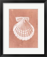 Sealife on Coral VII Fine Art Print