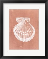 Sealife on Coral VII Framed Print