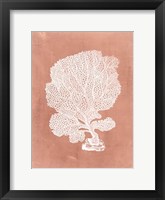 Sealife on Coral VIII Fine Art Print