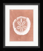 Sealife on Coral IX Fine Art Print