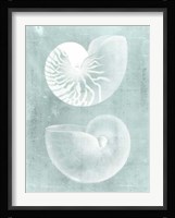 Nautilus on Spa I Fine Art Print