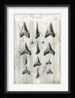 Relic Hunter I Fine Art Print