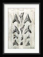 Relic Hunter II Fine Art Print