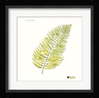 Watercolor Leaf Study IV Framed Print