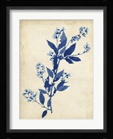 Indigo Leaf Study I Fine Art Print