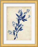 Indigo Leaf Study I Fine Art Print