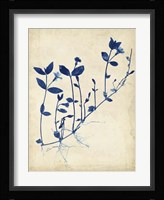 Indigo Leaf Study II Fine Art Print