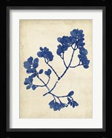 Indigo Leaf Study III Fine Art Print