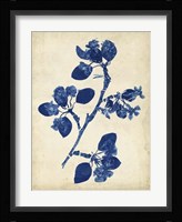 Indigo Leaf Study IV Fine Art Print