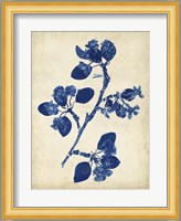 Indigo Leaf Study IV Fine Art Print