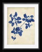 Indigo Leaf Study V Fine Art Print
