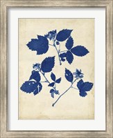 Indigo Leaf Study VI Fine Art Print