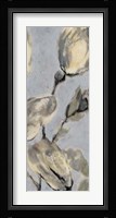 Flower Bud Triptych II Framed Print