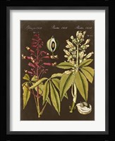 Buckeye on Suede Fine Art Print