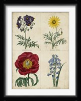 Botanical Grid I Fine Art Print