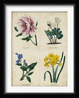 Botanical Grid II Fine Art Print