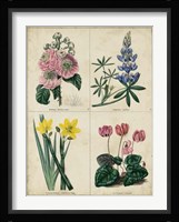 Botanical Grid III Fine Art Print