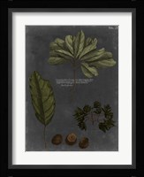 Foliage Dramatique VI Fine Art Print