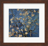 Blossoming Almond Tree, Saint-Remy, c.1890 Detail Fine Art Print