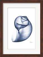 Indigo Water Snail Fine Art Print