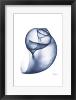 Indigo Water Snail Fine Art Print