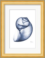 Indigo Water Snail Fine Art Print