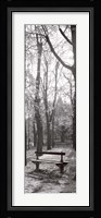 Jardin du Luxembourg Banc Fine Art Print