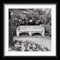 Campagnia I Fine Art Print