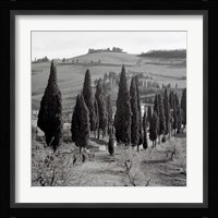 Tuscany IV Fine Art Print