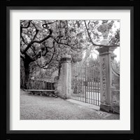 Firenze I Fine Art Print