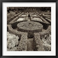 Tuscan Giardini I Framed Print