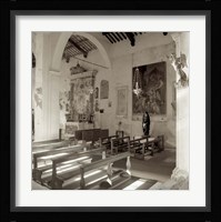 Banogregio I Framed Print