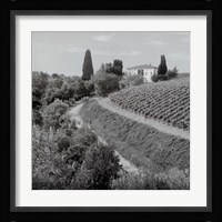 Tuscany V Framed Print