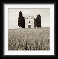 Tuscany IX Framed Print